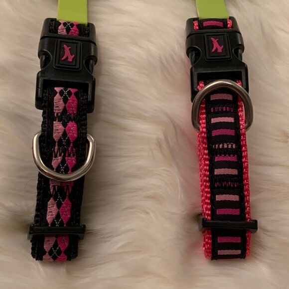 jump Nylon Dog Clip Collar - Picture 3 of 8